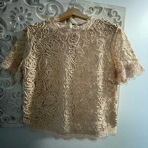 Zara Blush lace top with Short Sleeves